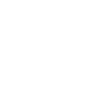 Icono de Rapidez de ejecución